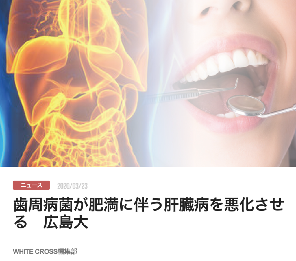 歯周病菌が肥満に伴う肝臓病を悪化させる　広島大